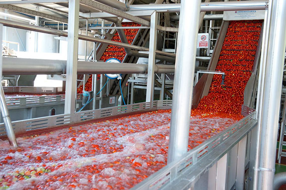 افتتاح أول مصنع لرب البندورة في الأردن باستثمار 5 ملايين دينار