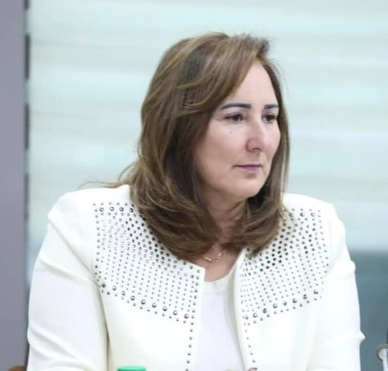 ريم بدران: نسبة تشغيل المدينة الصناعية في الكرك 38% والبطالة 17.3% 