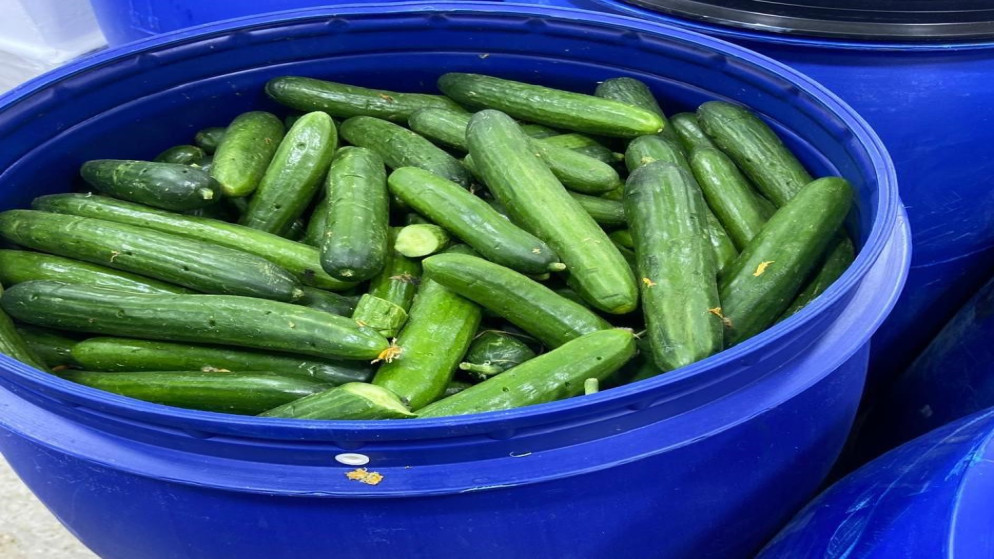 الغذاء والدواء تغلق مشغل مخللات غير مرخص في الزرقاء