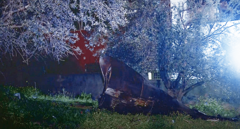 الأردن: سقوط شظايا أجسام متفجرة في عدة مواقع بإربد من دون خسائر