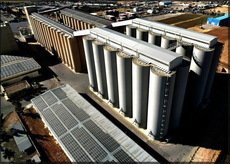 الصوامع: المخزون الاستراتيجي من القمح يكفي 10 أشهر والشعير 8 أشهر