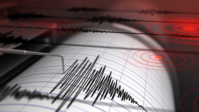 زلزال بقوة 5.5 درجات يهز شرق مصر ويستنفر السلطات الصحية دون تسجيل أضرار