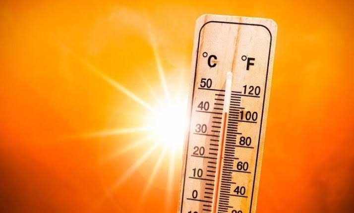 ألمانيا تسجل 16.3 ألف وفاة مرتبطة بالحرارة خلال موجات الحر الصيفية