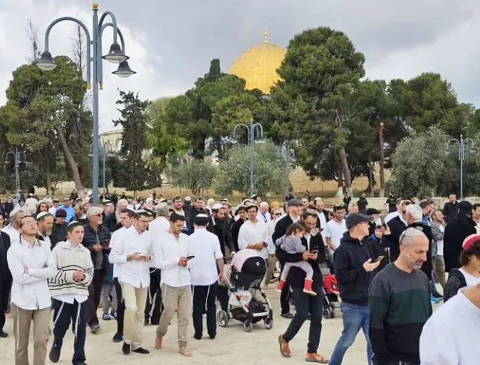نحو 1300مستوطناً يقتحمون الأقصى في ثالث أيام عيد العرش