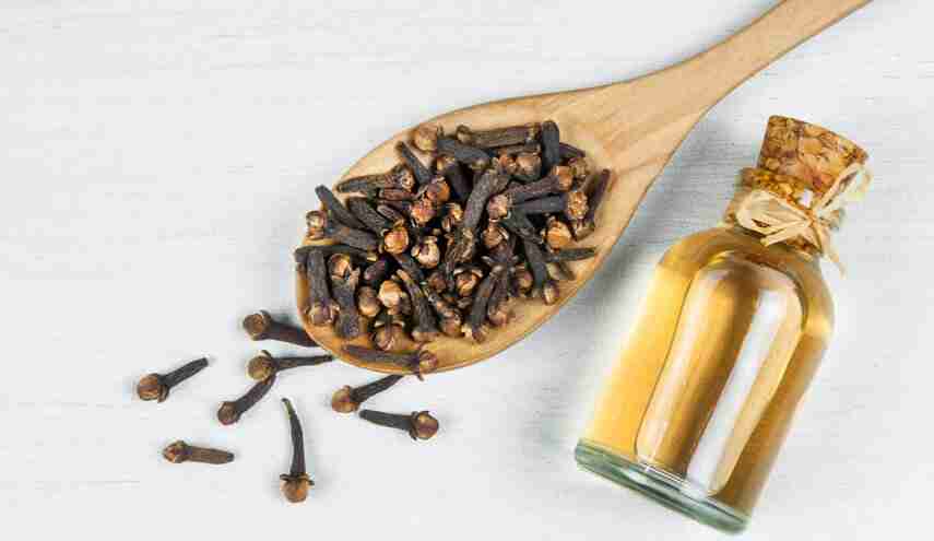 القرنفل وصحة الدماغ: بين الفوائد التقليدية والاكتشافات العلمية الحديثة