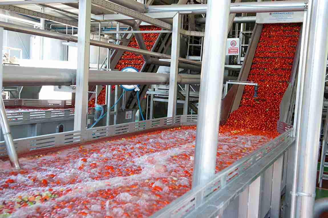 افتتاح أول مصنع لرب البندورة في الأردن باستثمار 5 ملايين دينار