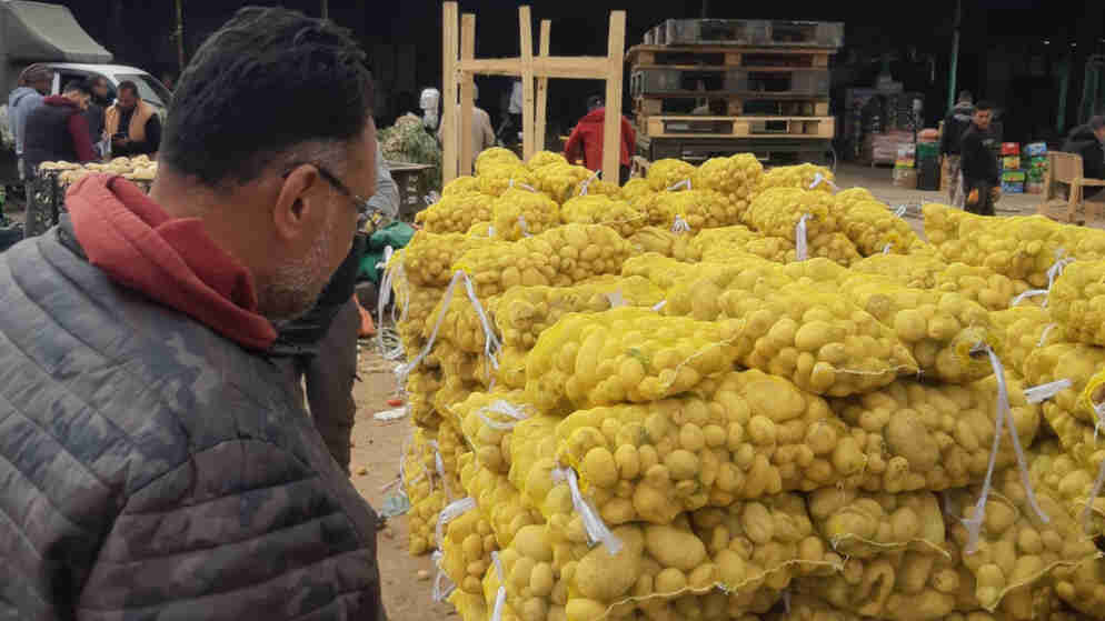 اتلاف موز وبطاطا غير صالحة في اسواق اربد