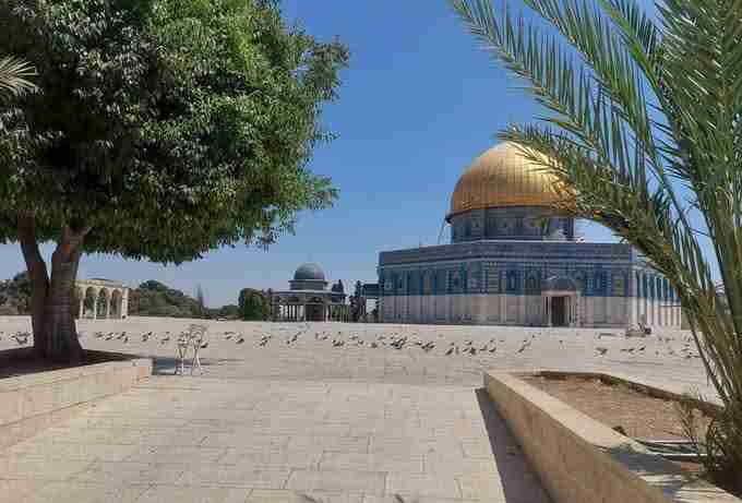 المسجد الأقصى بلا صلاة جمعة