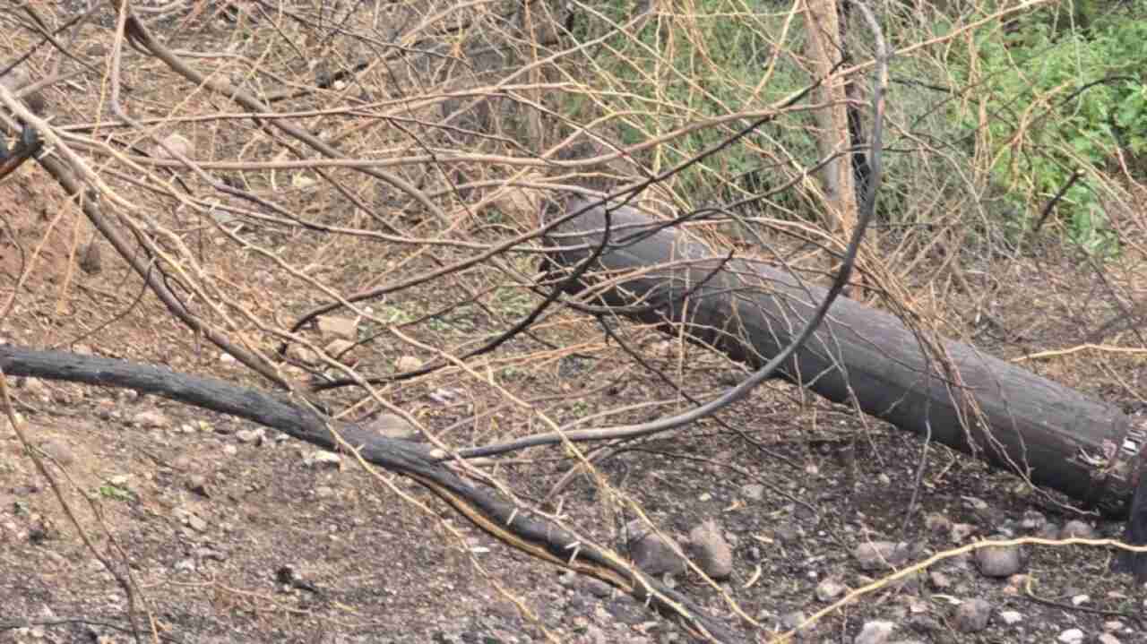 الأردن: سقوط شظايا يتسبب بانقطاع الكهرباء عن عدة مناطق في الأغوار الشمالية