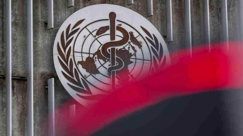 الصحة العالمية: خطر فيروس هانتا على البشر لا يزال منخفضا