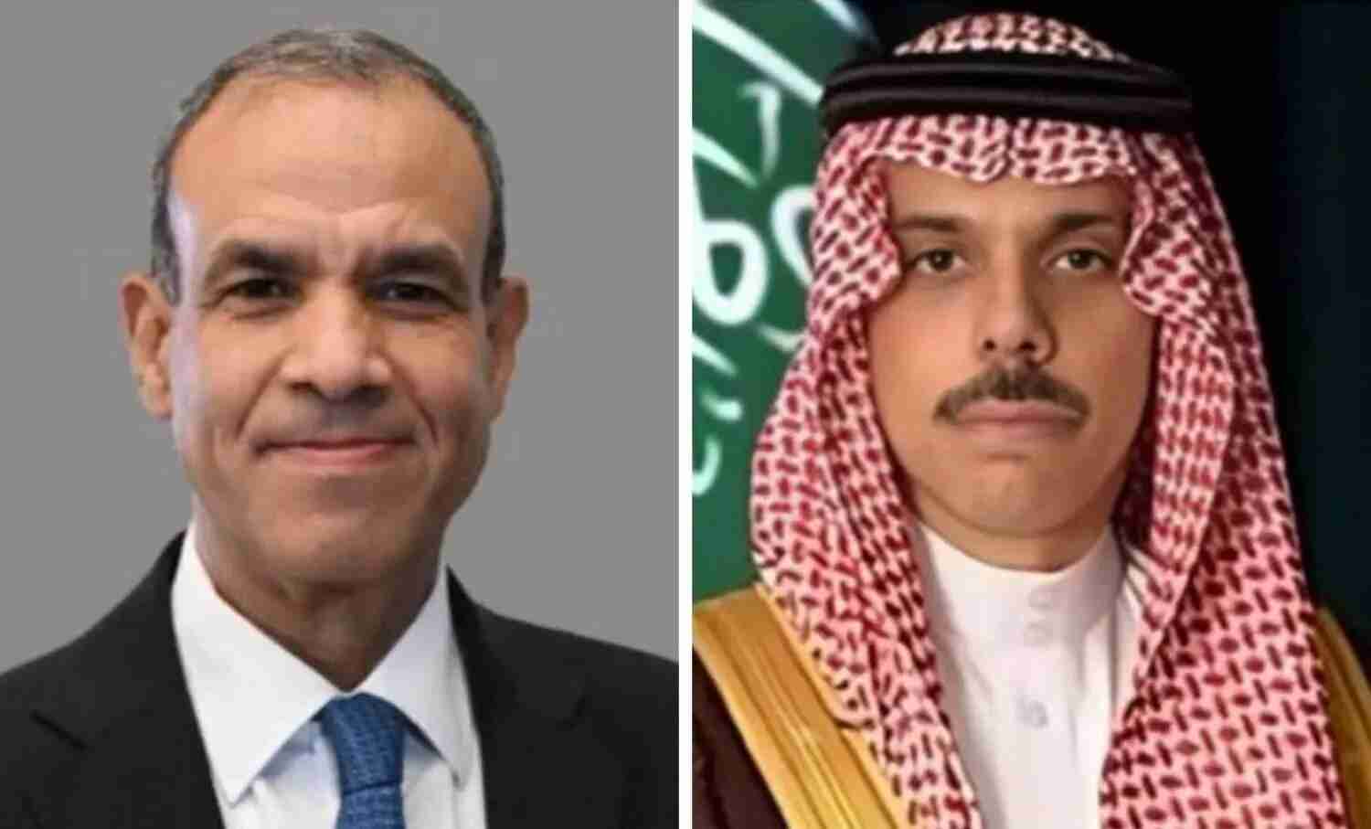 وزيرا الخارجية السعودي والمصري يبحثان أوضاع المنطقة