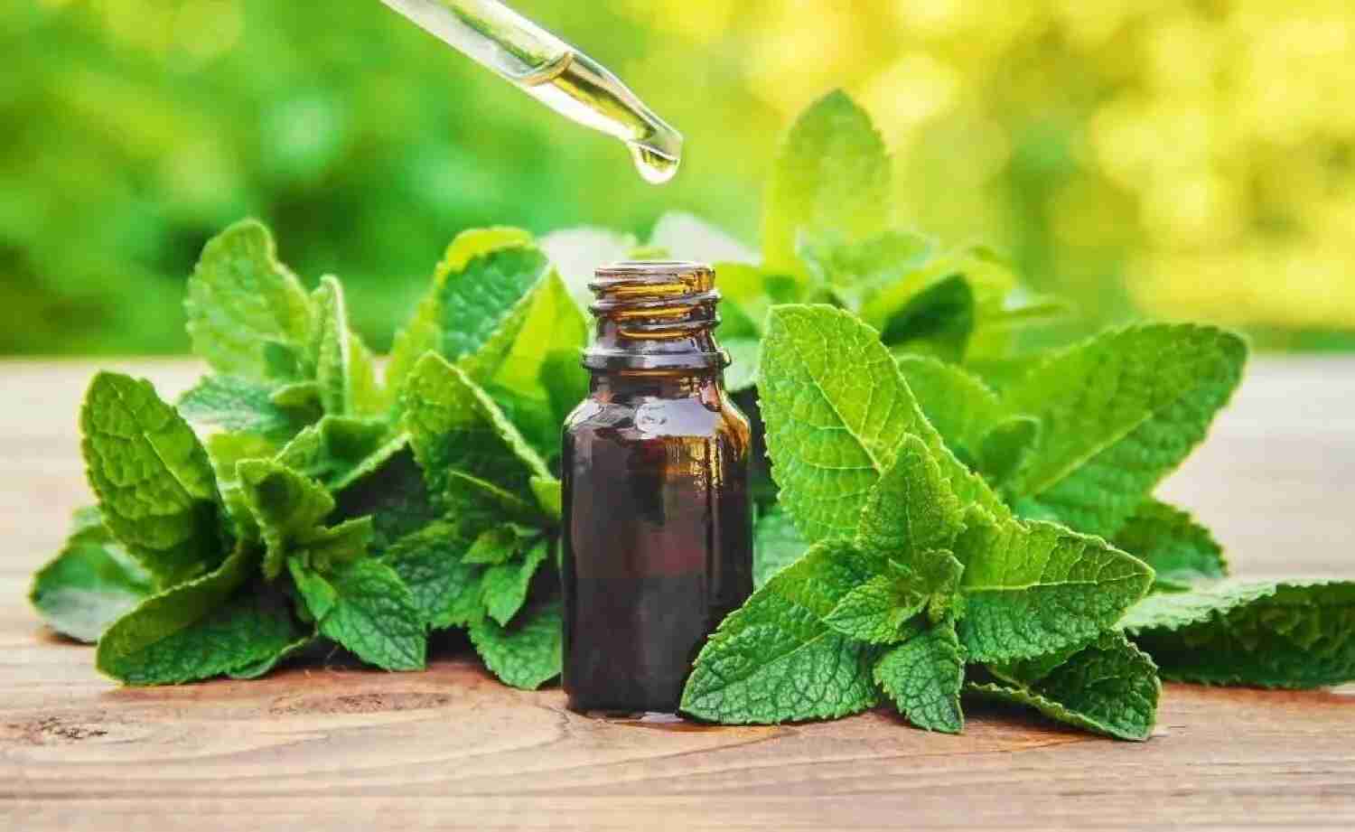 زيت النعناع يساعد في السيطرة على ضغط الدم