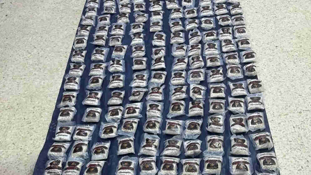 المنطقة العسكرية الشرقية تحبط محاولة تهريب مخدرات بواسطة بالونات
