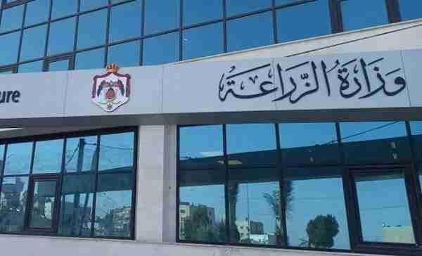 الزراعة: شحنة العجول المرفوضة عراقيا ليست مخصصة للسوق الأردنية