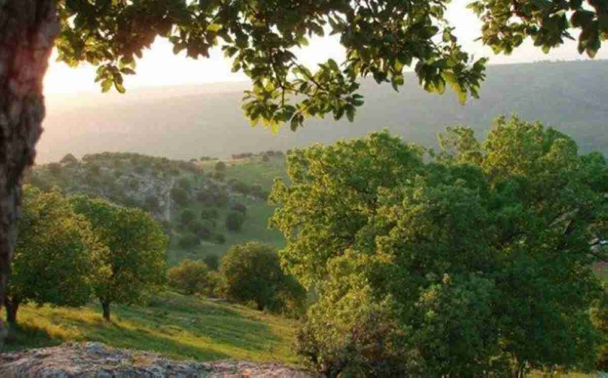 أجواء صيفية معتدلة في أنحاء المملكة حتى يوم الجمعة